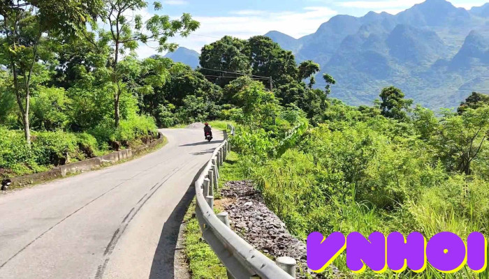 Canh Dong Hoa Tam Giac Mach Video - Hà Giang