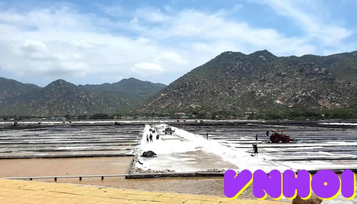 Canh Dong Muoi Phuoc Diem Video - Ninh Thuận
