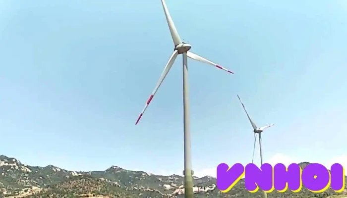 Canh Dong Quat Gio Video - Ninh Thuận