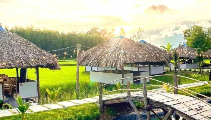 Cánh Đồng Gió - Phước Thuận