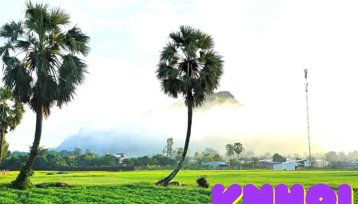 Cánh đồng Thốt Nốt - An Giang - An Giang