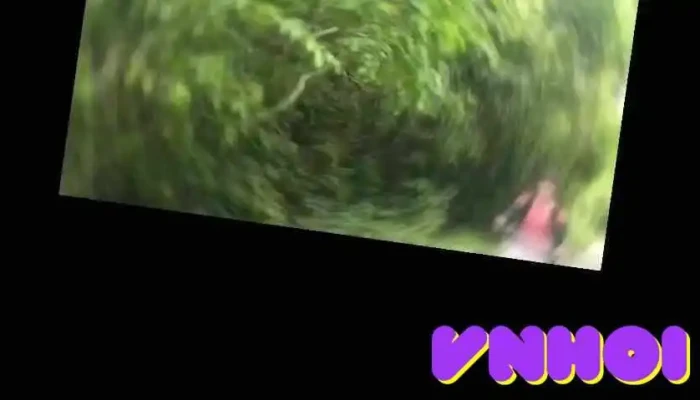 Cat Tien Tan Phu Dong Nai Cua Chu So Huu - Đồng Nai