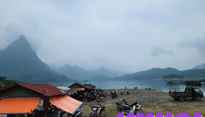 Cay Co Don Na Hang Moi Nhat - Tuyên Quang