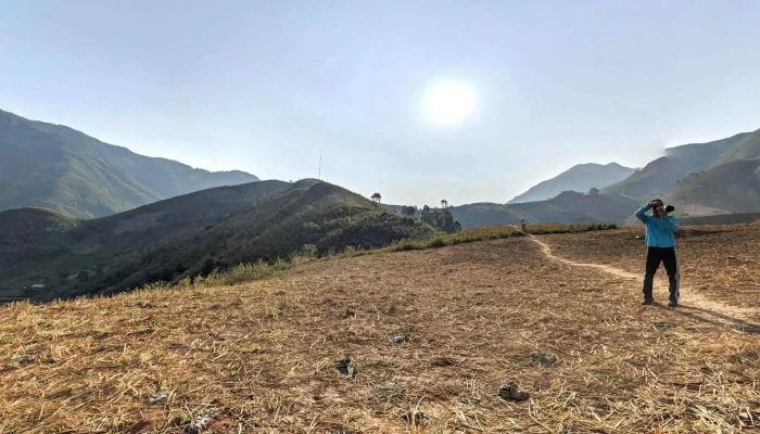 Cay Co Don Ta Xua Che Do Xem Pho Va 360deg - Sơn La