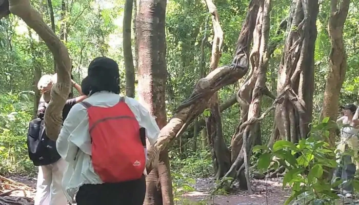 Cay Da Loc Giao Moi Nhat - Đồng Nai
