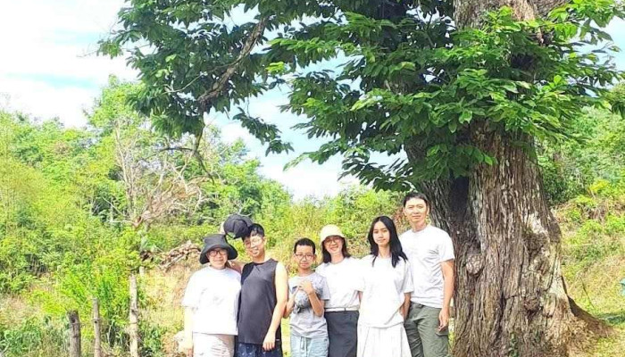 Cay De Co Thu Tru Danh Moi Nhat - Cao Bằng