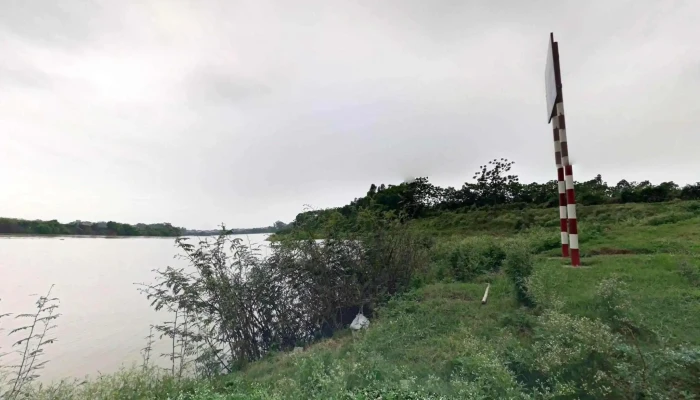 Cay Gao Lang Doai Che Do Xem Pho Va 360deg - Bắc Ninh
