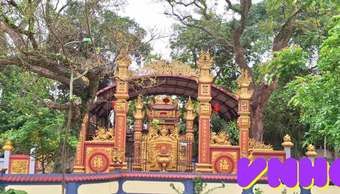Cay Gao Mieu Ba Co Moi Nhat - Bắc Giang