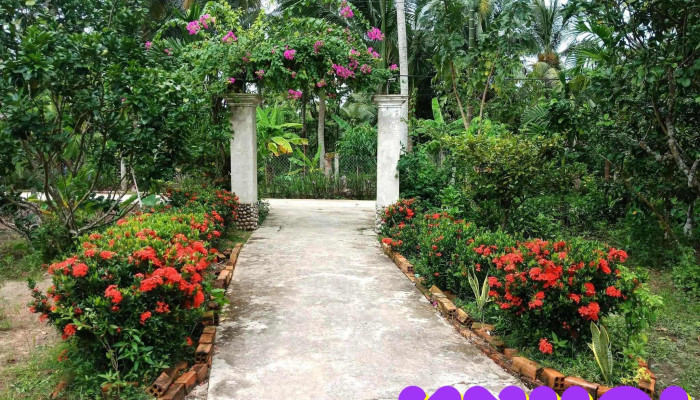 Chau Thanh Tat Ca - Bến Tre