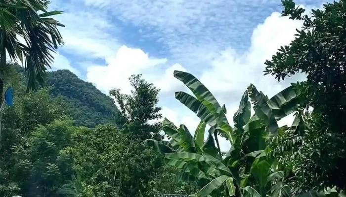 Chieng Farm Tien Nghi - Hòa Bình