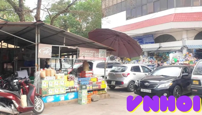 Cho Dong Kinh Video - Lạng Sơn