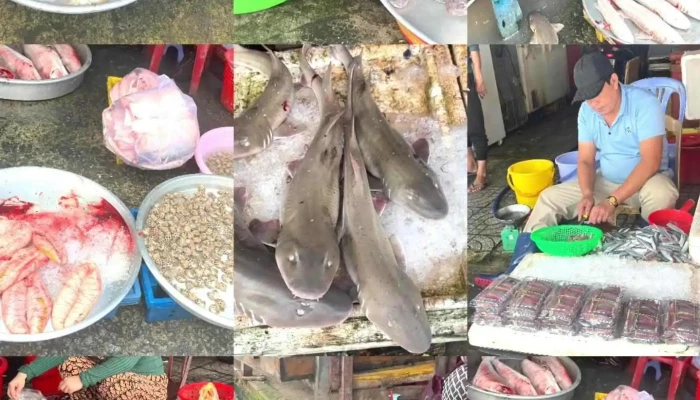 Cho Duong Dong Phu Quoc Khong Gian Ben Trong - Kiên Giang