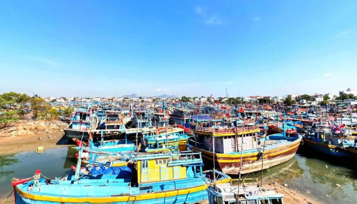 Cho La Gi Che Do Xem Pho Va 360deg - Bình Thuận