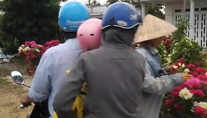 Cho Lach Video - Bến Tre