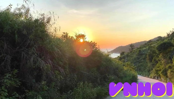 Cho Tan Hiep Video - Quảng Nam