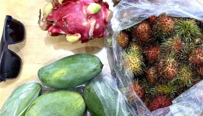 Cho Vinh Hai Moi Nhat - Khánh Hòa