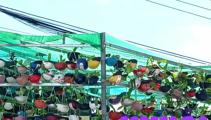 Chua Ba Chau Doc Moi Nhat - An Giang