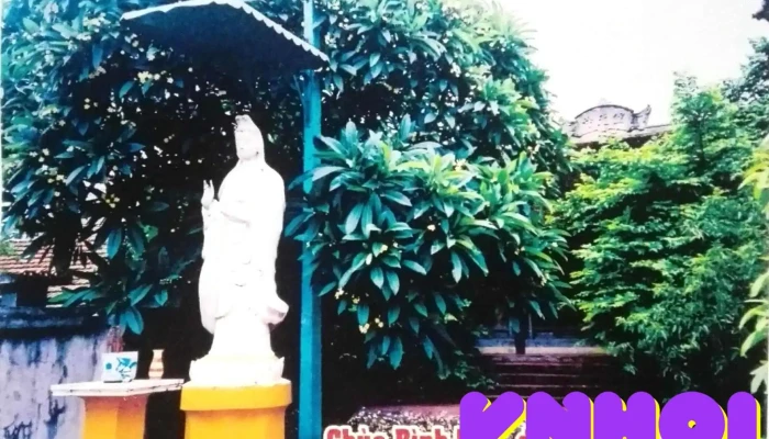Chùa Bình Tân (chùa Linh Quang) - Đ. Bình Tân