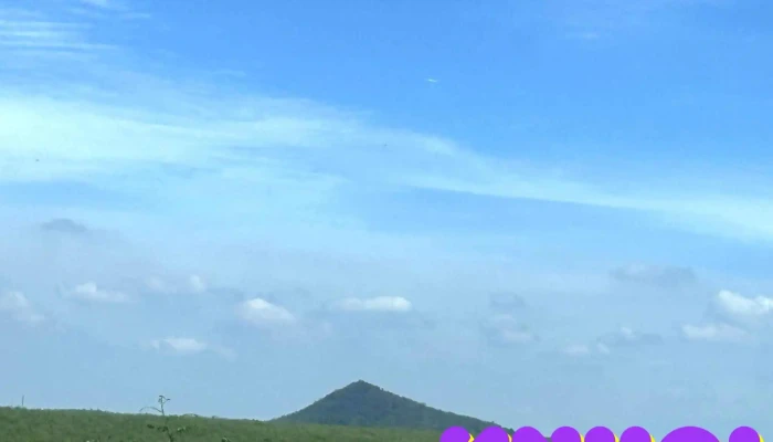 Chua Dong Tat Ca - Nam Định