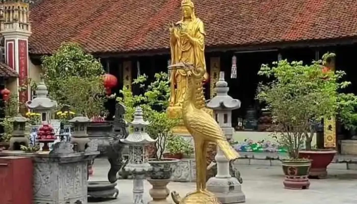Chua Du Hang Video - Hải Phòng