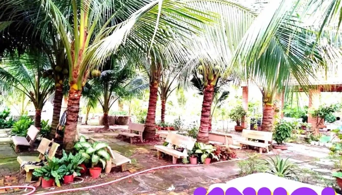 Chùa Long Quang - An Giang