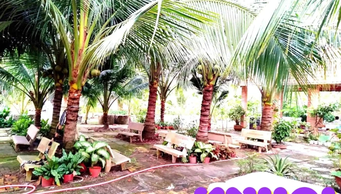 Chua Long Quang Tat Ca - An Giang