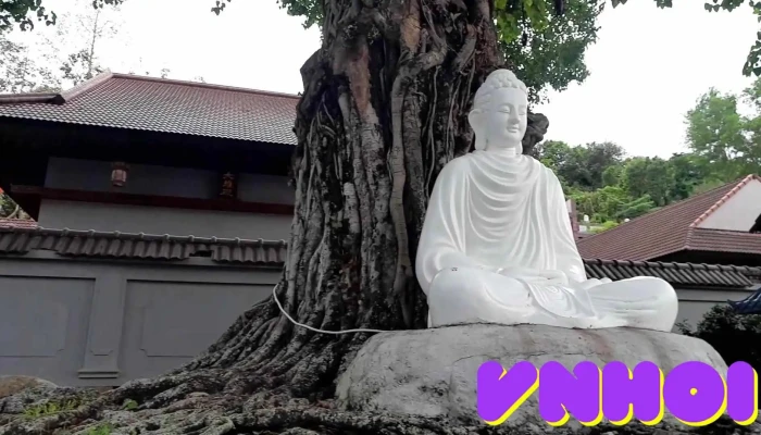 Chua Phat Da Lo Gach Moi Nhat - Kiên Giang