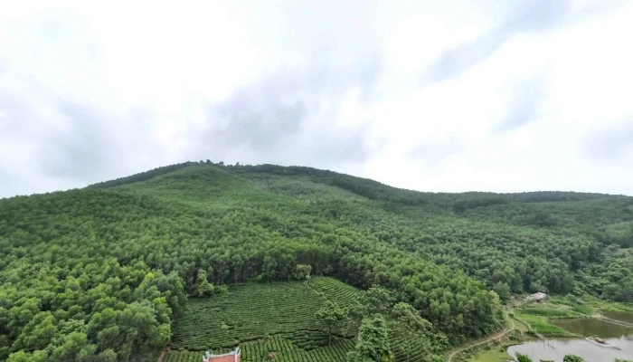 Chua Phat Lam Che Do Xem Pho Va 360deg - Tuyên Quang