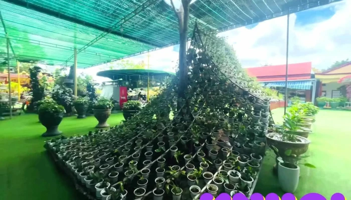 Chua Van Phuoc Moi Nhat - Bến Tre