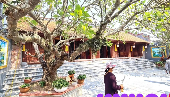 Chùa Xuân Lũng (Chùa Phổ Quang) - Xuân Lũng