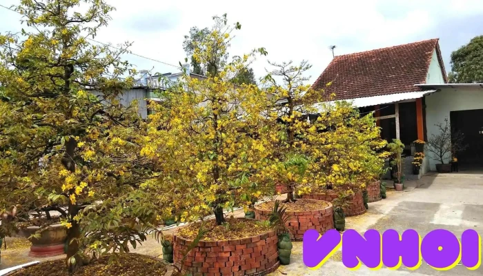 Chợ Mới - An Giang