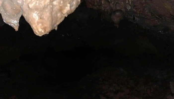 Co Vien Lau Diem Tham Quan Nha Co Thuc Pham Va Do Uong - Ninh Bình