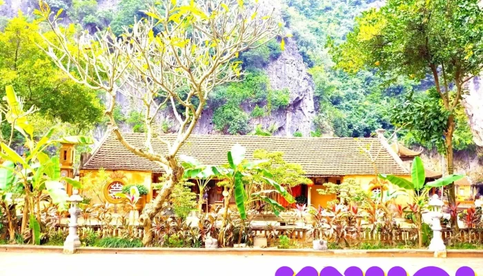 Co Vien Lau Tat Ca - Ninh Bình