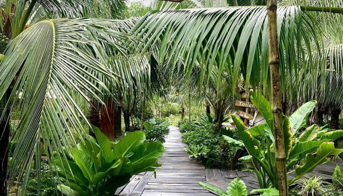 Coco -  Cao Glamping Cua Khach Tro - Bình Thuận