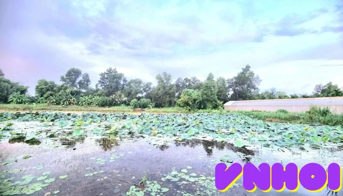 Colibris Farmstay Hau Giang -  Tat Ca - Hậu Giang