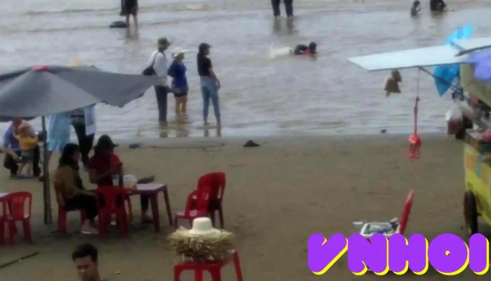 Con Bung Video - Bến Tre