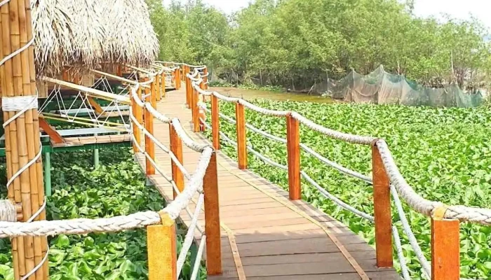 Con Phung Tourist Khu Vui Choi Va Du Lich Ben Tre Cua Khach Tro - Bến Tre