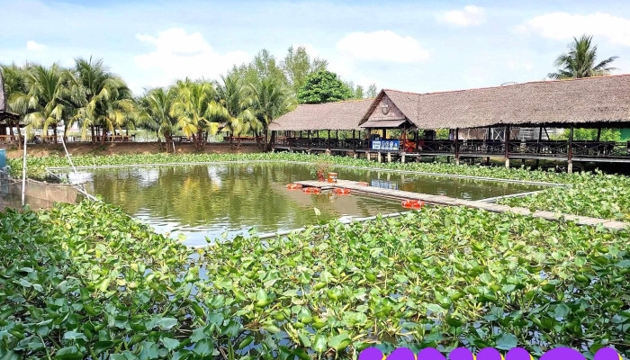 Con Phung Tourist Khu Vui Choi Va Du Lich Ben Tre Tat Ca - Bến Tre