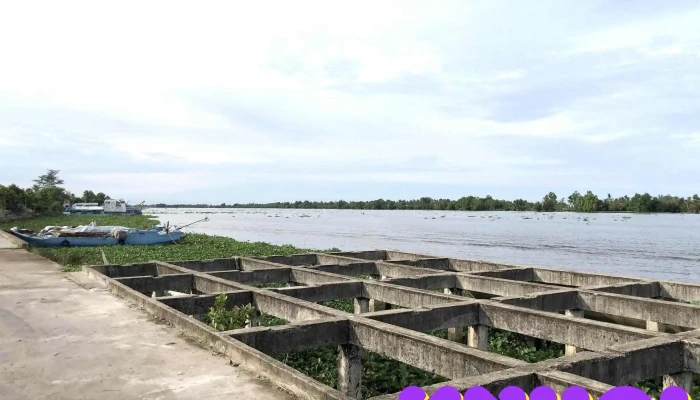 Cong An Huyen Go Quao Tat Ca - Kiên Giang