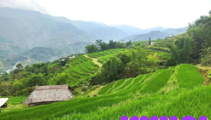 Cong Ty Co Phan Du Lich Thuong Mai Ha Giang   Hagiangtourism Agency Tat Ca - Hà Giang