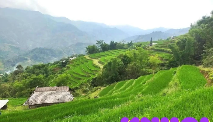 Công ty cổ phần du lịch thương mại Hà Giang - Hagiangtourism Agency - Hà Giang