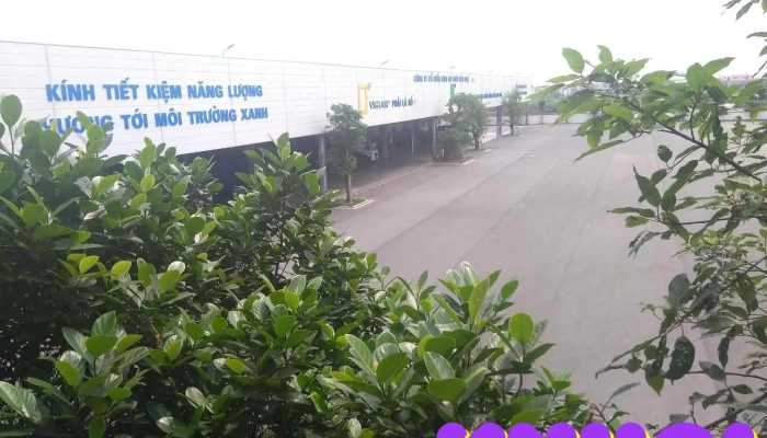 Công Ty Cổ Phần Kính An Toàn Việt Nhật ( Vsg ) - Bạch Sam