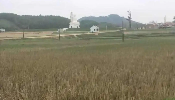 Cong Vien Nghia Trang Thien Duong Video - Tuyên Quang