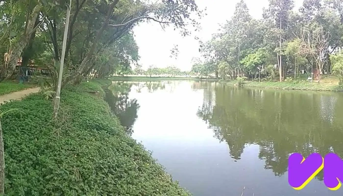 Cong Vien Nuoc Thu Dau Mot Vuon Dieu Cong Vien Thu Dau Mot - Bình Dương