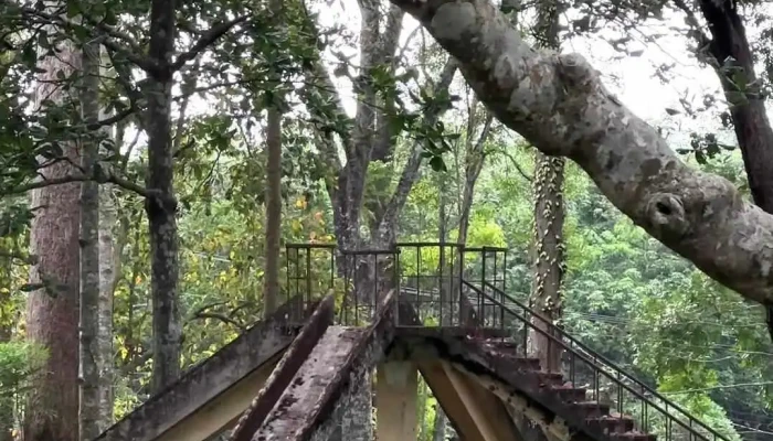 Cong Vien Van Hoa Suoi Tre Video - Đồng Nai