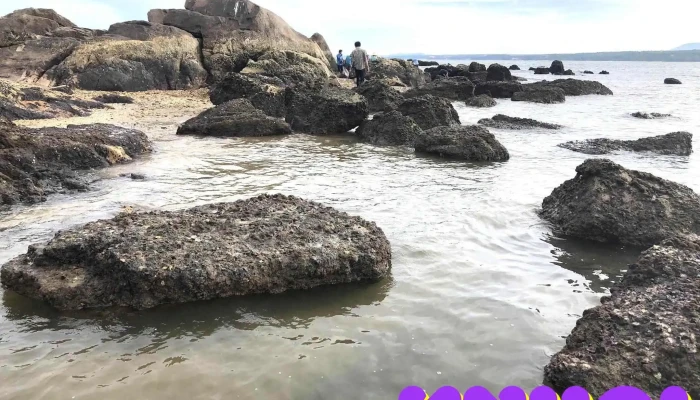 Cu Lao Tat Ca - Thành Phố Phan Thiết