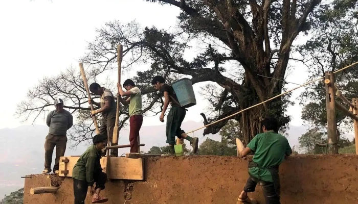 Cum Cay Da Co Thien Huong Nui - Hà Giang