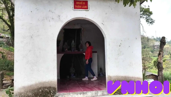 Cum Cay Da Co Thien Huong Video - Hà Giang