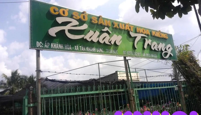 Cơ Sở Hoa Kiểng Xuân Trang - Tân Khánh Đông