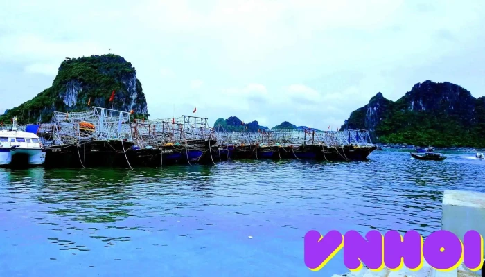 Cảng Cái Rồng - Vân Đồn
